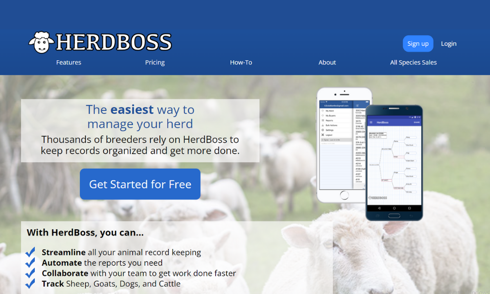 HeardBoss Beef Cattle Record Keeping Software